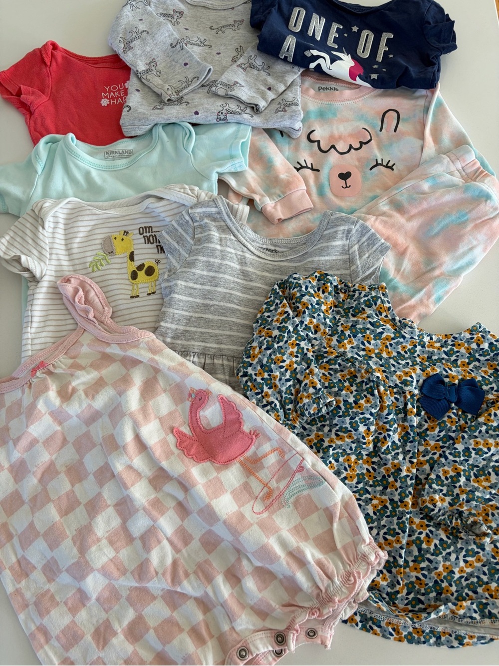 Bundle of baby girl clothes (9m)